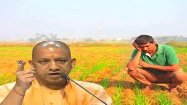 Gorakhpur News: सूखे की मार झेल रहे किसानों को सीएम योगी से उम्मीद,कर रहे यह मांग
