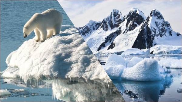 खतरे में दुनिया! बड़ी तेजी से पिघल रहा है आर्कटिक, अनहोनी की आशंकाओं से डर गए वैज्ञानिक!
