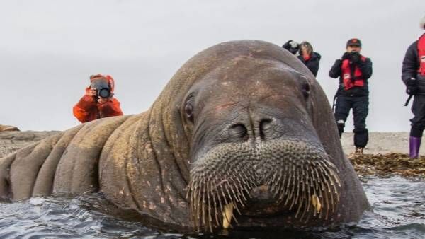 वह इंसान नहीं थी, कर दिया बड़ा गुनाह! और फिर 'फ्रेया' को मौत की नींद सुला दिया