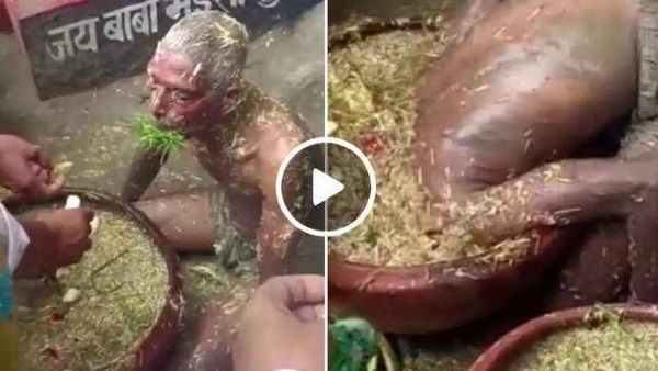 VIDEO: नागपंचमी के दिन ये शख्स बन जाता है 'भैंसासुर', जानवरों की तरह खाने लगता है भूसा