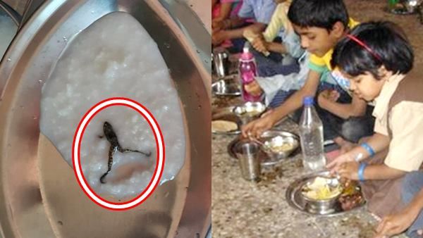 खीर में मरे मेढक के बच्चे ने मचाया तहलका, जारी करवा दिए तीन को नोटिस
