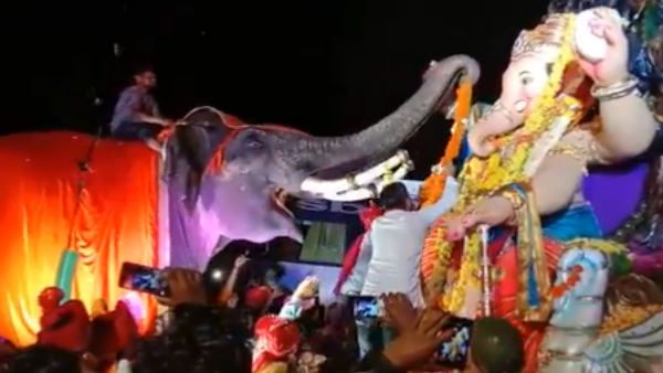 भीड़ में 'गजराज' ने जीता सभी का दिल, सूंड से खुद ही गणेश जी की मूर्ति पर चढ़ाई माला