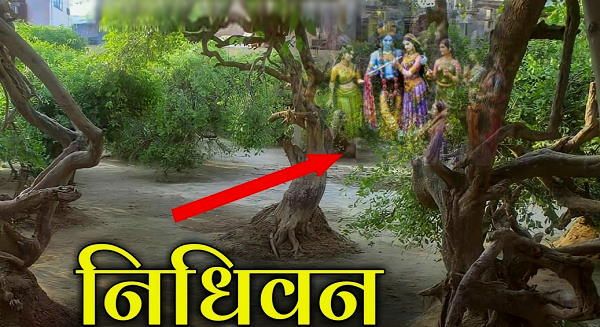 Krishna Janmashtami 2022: यहां रात में रास रचाते हैं कान्‍हा, छोड़ जाते हैं निशानियां!