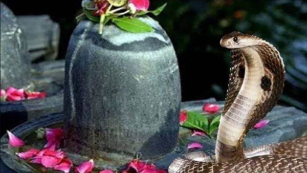 Nag Panchami Wishes: इन संदेशों के जरिए अपनों को दें 'नाग पंचमी' की शुभकामनाएं