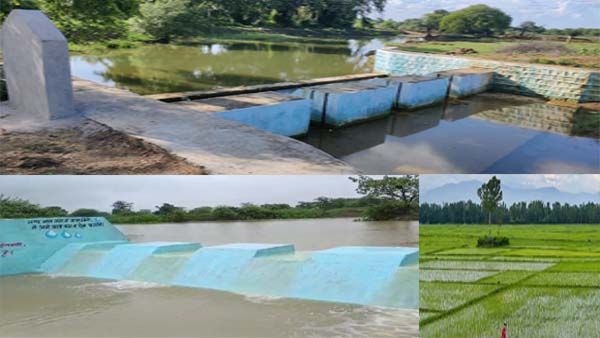 छ.ग.: मुख्यमंत्री की नरवा योजना से किसानों के चेहरे पर आई मुस्कान, खण्ड वर्षा से सुखे खेतों में लौटी हरियाली