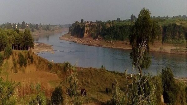 नौरादेही अभयारण्‍य: बाघों के घर से इंसान बेदखल, 93 में से 22 गांव विस्‍थाप‍ित, दो समनापुर में बसेंगे