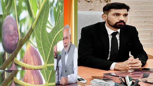 'बेडू' फल है खास, पीएम मोदी भी कर चुके हैं तारीफ, उत्तराखंड के इस जिले के डीएम ने किया ये सब कमाल