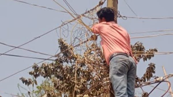 umariya: बिजली बिल नहीं देने पर पूरे सारंगबिहारी गांव की कटी बिजली