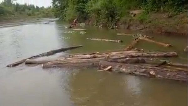 'पुष्पा फिल्म' की तर्ज पर रियल लाइफ 'तस्करी', बरांझ नदी में बहाकर लाते थे जंगलों से सागौन