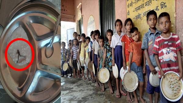 ‘मेढक वाली खीर’ देख स्कूली बच्चों के उड़े होश, टीचर को भी पता चली ये बात फिर......