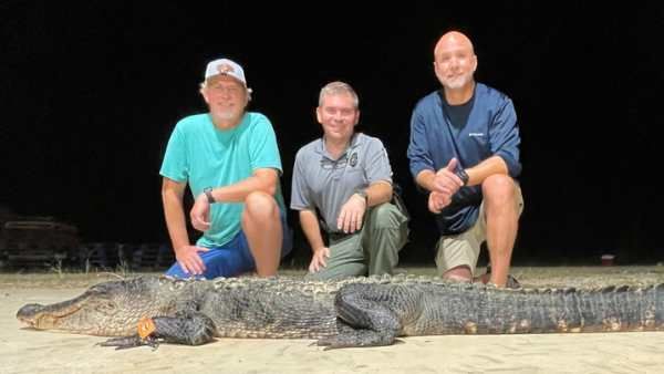 डर के आगे जीत : '100 साल' का 'सबसे बड़ा' Alligator दो भाइयों ने पकड़ा, वजन इतना कि टूट गए रॉड-नेट !
