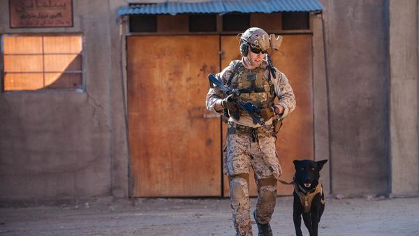 Navy SEAL कमांडो की बदनाम ट्रेनिंग की खौफनाक कहानी, जानिए कैसे खून के गरारे कर मर जाते हैं जवान