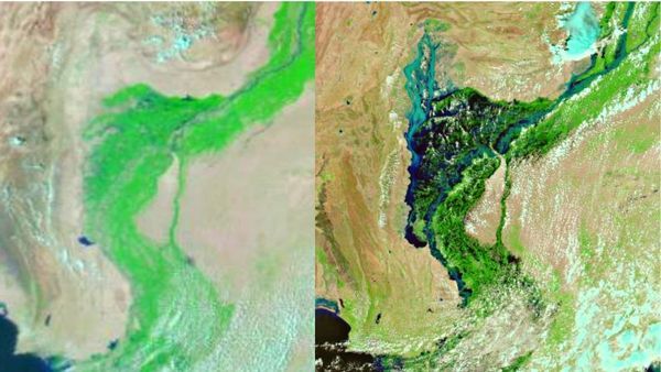 पाकिस्तान में सिंधु नदी ने बना दी 100 किमी चौड़ी झील, सैटेलाइट इमेज से दिख रही बाढ़ की भयावहता