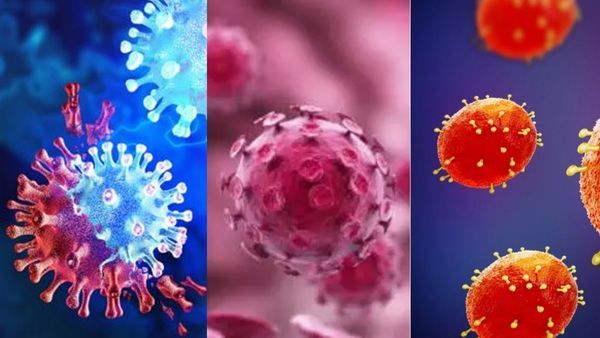 COVID, Monkeypox और HIV, एक साथ तीनों वायरस से पॉजिटिव हुआ शख्स, पुरूषों के साथ बनाया था संबंध