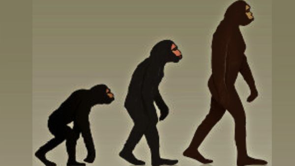 70 लाख साल पहले दो पैरों पर पहली बार चला था मानव, जानिए चार से दो पैरों तक का सफर