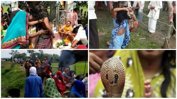 नागों की अदालत, सांप को सताने वाले हो जाते हैं दोषमुक्त, नाग पंचमी पर होती है लाखों की भीड़