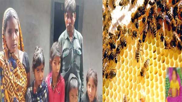 Chhattisgarh: खेल रहे बच्चों पर जंगली मधुमक्खियों ने किया हमला, झाड़ फूंक के चक्कर में मासूम की मौत