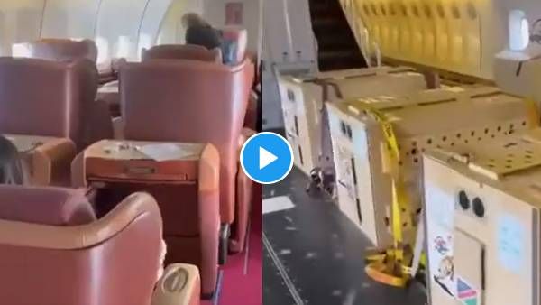 Namibian Cheetah : Boeing 747 में ऐसे भारत पहुंचे चीते, रवीना टंडन बोलीं- थैंक्यू PM, खूबसूरत बर्थडे गिफ्ट