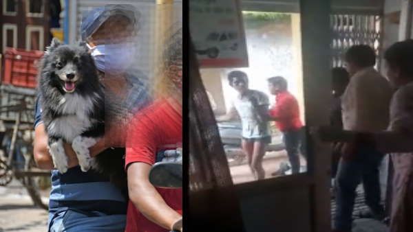 Korba: कुत्तों को कोरोना का टीका लगवाने पहुंचा ग्रामीण, फिर घटा यह किस्सा