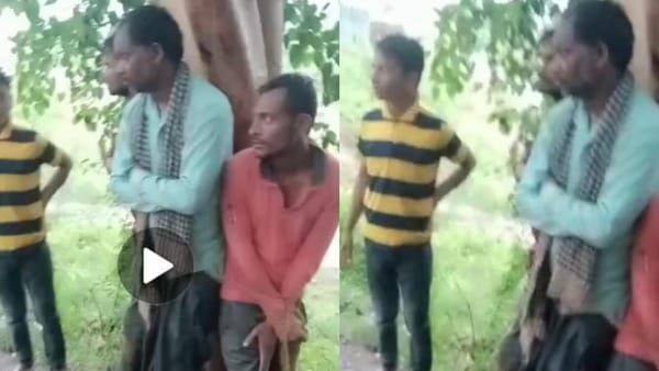 Sidhi: गाय-बकरी चोरी के आरोप में बनाया बंधक, पेड़ से बांधकर मारपीट का वीडियो वायरल