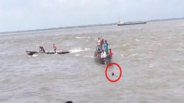 Fact Check: नदी में मगरमच्छ से घिरे लड़के का यह वीडियो नहीं है मध्य प्रदेश का, जानिए कहां की है घटना
