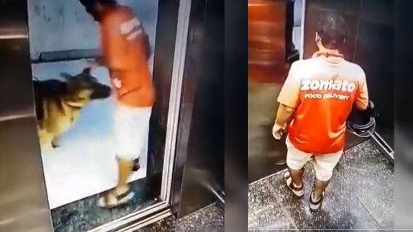 Shocking : लिफ्ट से बाहर निकलते ही कुत्ते ने डिलीवरी ब्वॉय के प्राइवेट पार्ट पर काटा, VIDEO आया सामने