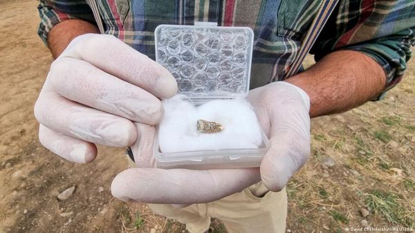 पुरातत्वविदों ने खोजा 18 लाख पुराना मानव दांत