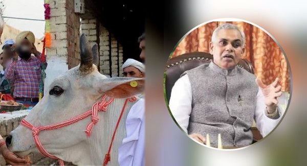 'हिंदू सबसे बड़े पाखंडी..' बोलकर फंसे गुजरात के राज्यपाल, गायों की मौत पर कही ये बात