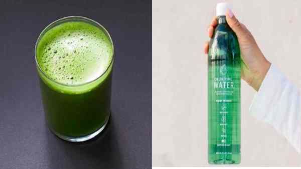 Chlorophyll Water क्या है ? तेजी से लोकप्रिय हो रही इस हेल्थ ड्रिंक के फायदे और नुकसान जानिए