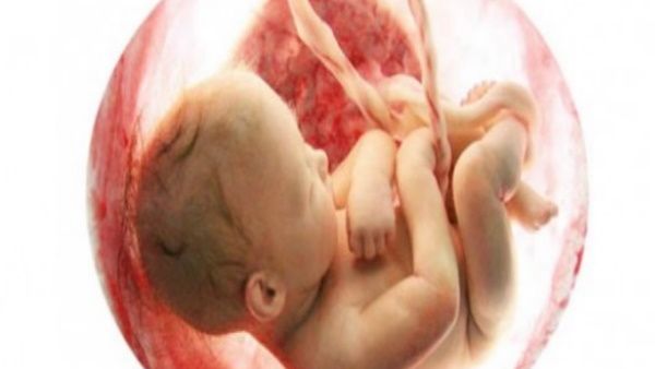 रिसर्च में सामने आई गर्भ में पल रहे बच्चे के मुस्कुराने और रोने की वजह, जानिए मां का खाना कैसे डालता है असर