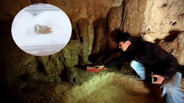Video: खोपड़ी के बाद अब खोजा मानव प्रजाति का 1.8 मिलियन साल पुराना दांत, जॉर्जिया में खुदाई के दौरान मिला