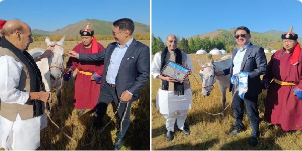 राजनाथ सिंह को मंगोलिया में उपहार में मिला सफेद घोड़ा, रक्षामंत्री ने नाम रखा तेजस