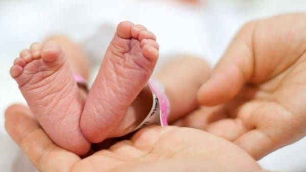 Newborn Dead body: सीधी जिले में एक दिन में मिले तीन नवजात शव, मचा हड़कंप