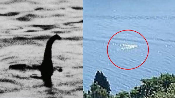 'वो बस 7 मिनट के लिए पानी से बाहर आया', झील में फिर से दिखा 'समुद्री राक्षस', शहर वालों की नींद उड़ी