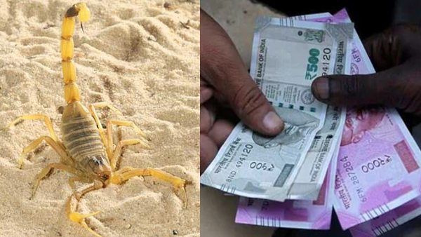 बिच्छू बन गए इस किसान के 'दोस्त', अब हर महीने हो रही लाखों की कमाई