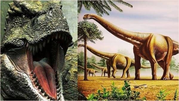 डायनासोर के अंत को लेकर बड़ा खुलासा, विलुप्त होने से पहले ही खत्म होने लगे थे