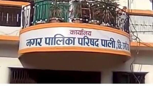 उमरिया नगरीय निकाय चुनाव: नगर पालिका पाली में दिग्गजों की प्रतिष्ठा दांव पर, पूर्व विधायक और किन्नर मैदान में