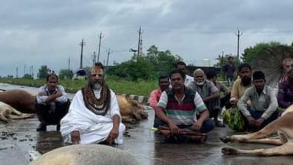 रायसेन के सुल्तानपुर में सड़क हादसे में 12 गायों की मौत, सरकार के खिलाफ धरने पर बैठे कम्प्यूटर बाबा