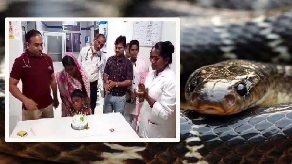 Satna News: मौत के मुहाने से डॉक्टर छीन लाए जिंदगी, सर्पदंश के बाद परिजनों ने जीने की छोड़ दी थी उम्मीद
