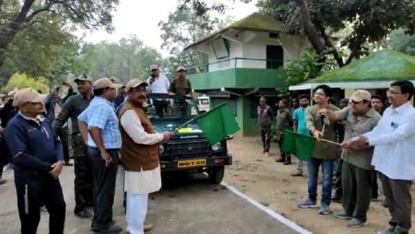 Umaria: पर्यटकों के लिए एक बार फिर खुला बांधवगढ़ टाइगर रिजर्व, वन मंत्री ने जिप्सीयों को दिखाई हरी झंडी