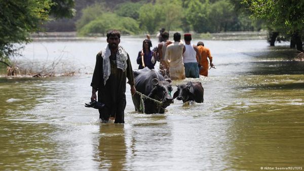 पाकिस्तान: बाढ़ से 40 अरब डॉलर के नुकसान का अनुमान