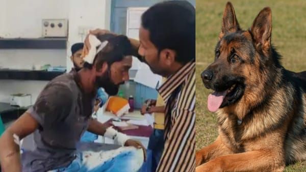 Dog Attack: सतना में जर्मन शेफर्ड कुत्ते का खौफनाक अटैक, मालिक को जगह-जगह से बुरी तरह काट खाया