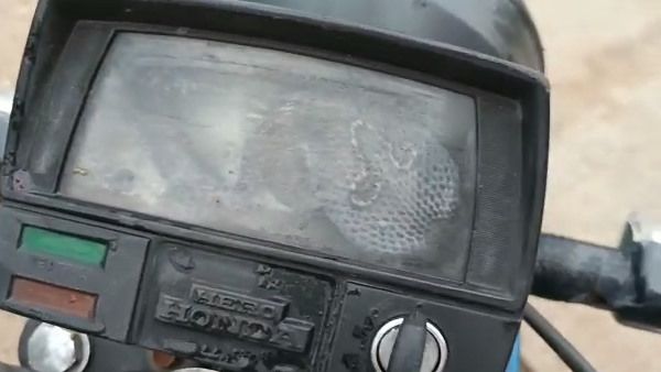 बाइक के स्पीड मीटर में खतरनाक कोबरा सांप, बाल-बाल बचा युवक