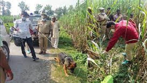 Kushinagar News: खेत में मिला युवक का अधजला शव,जांच में जुटी पुलिस
