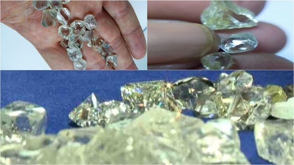 Diamonds Auction: देश के इस शहर में नीलाम हो रहे करोड़ों के हीरे, आप भी लगा सकते हैं बोली