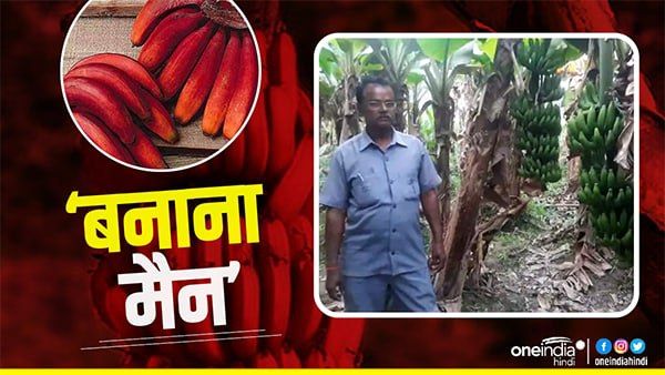 Banana Man Bihar: कौन हैं रामेश्वर सिंह जिन्हें मिली ये उपाधि, कृषि पद्धति के कायल हैं लोग