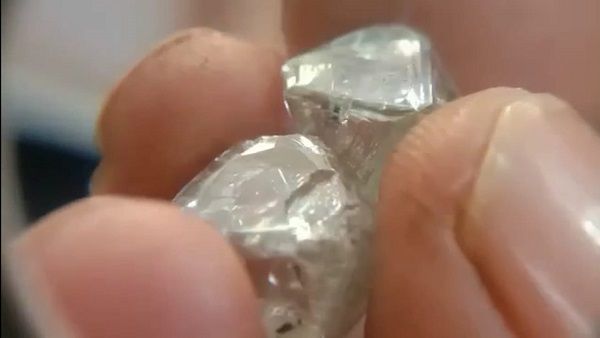 Diamond Auction: पन्ना के डायमंड की चमक पर जौहरी फिदा, 74.45 लाख में 19 हीरे नीलाम