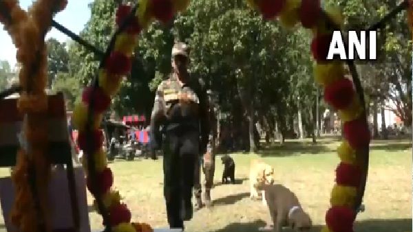 आतंकी ऑपरेशन में शहीद हुए डॉग को सेना ने दी अंतिम सलामी, वीडियो देख भर आएंगी आपकी आंखें