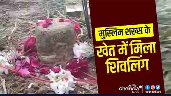Amethi: मुस्लिम शख्स के खेत में मिला शिवलिंग, पूजा-अर्चना करने जुट गई हजारों की भीड़