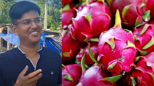 Software Engineer बना सफल किसान, 30 वर्षीय बिहारी ने कंप्यूटर छोड़ खेत में दिखाया कमाल